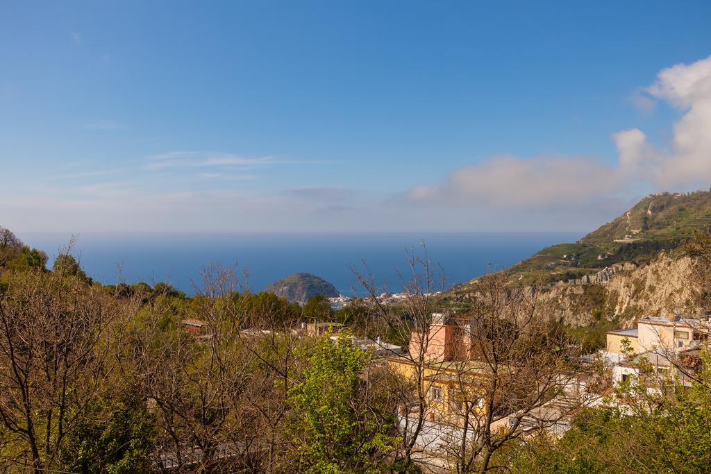 Affittacamere Nitrodi Experience Barano dʼIschia Esterno foto